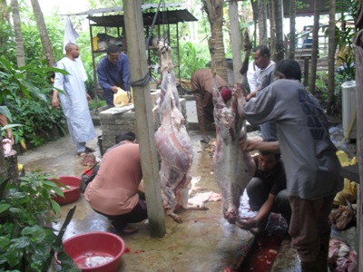kursus3.jpg
